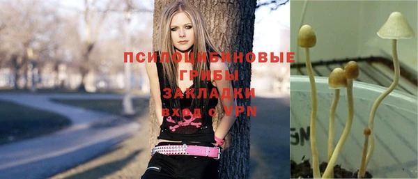 ALPHA PVP Аркадак